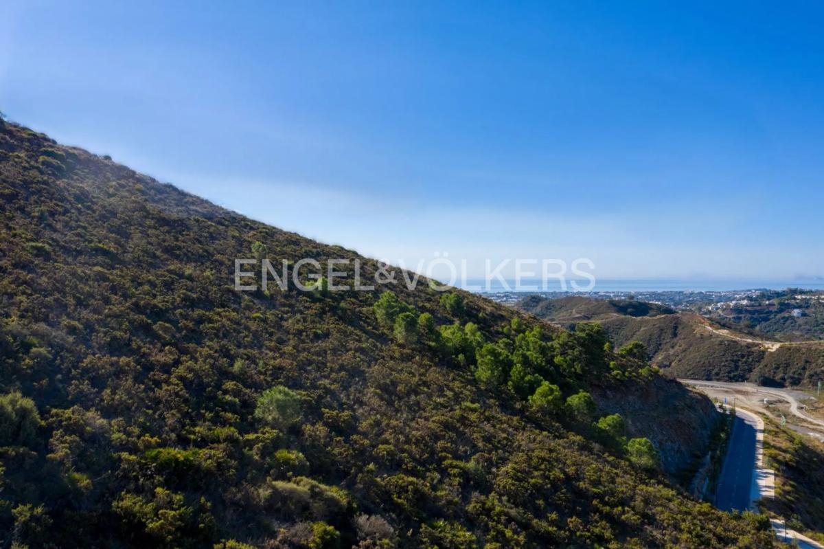 Terreno en venta en Benahavís, Malaga photo 5