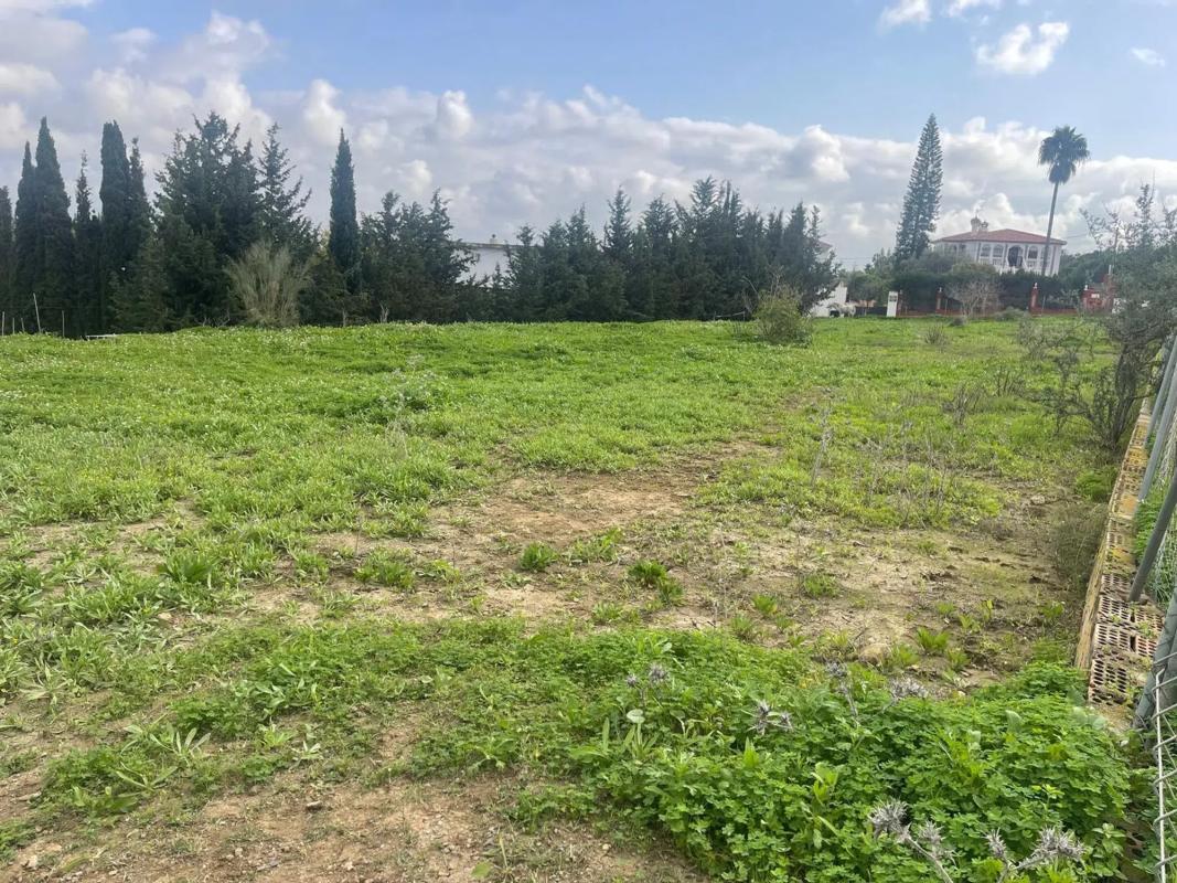 Terreno en venta en Alhaurín de la Torre, Malaga photo 2