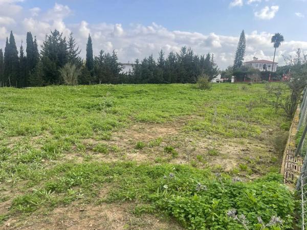 Terreno en El Romeral-Peñón de Zapata photo 2