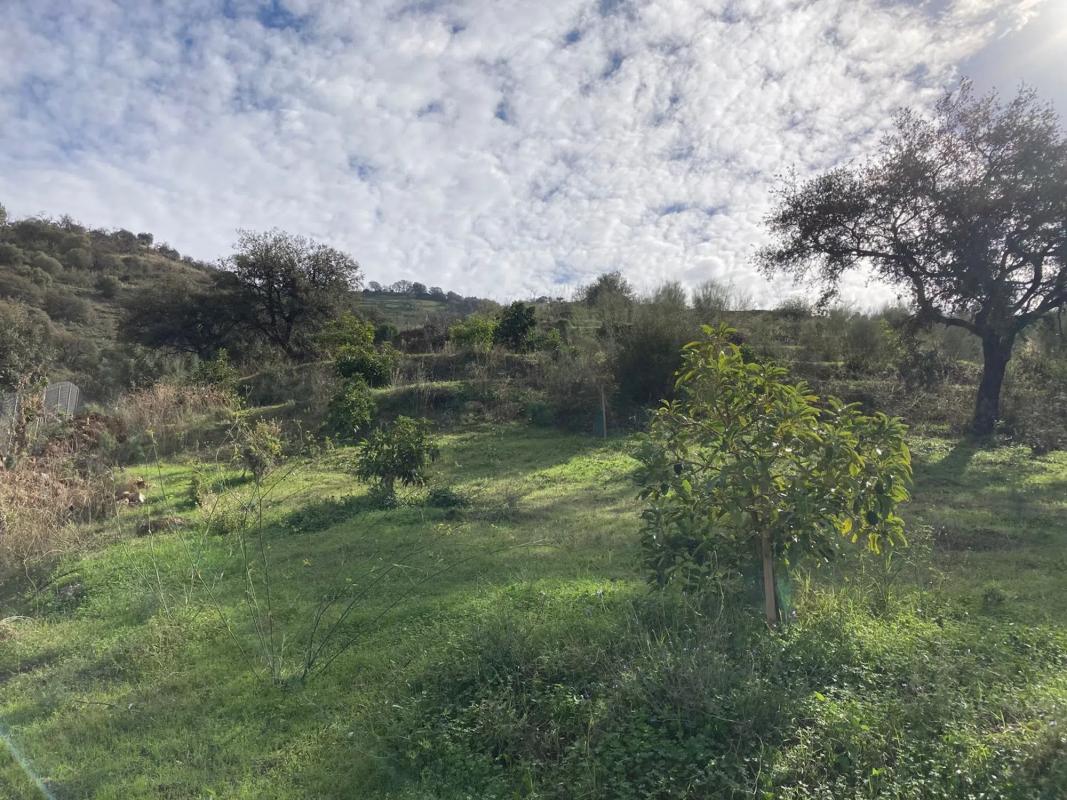 Terreno en venta en Coin, Malaga photo 1