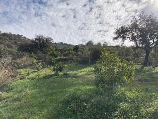 Terreno en Partida Llano del Comisario s/n Sn photo 1