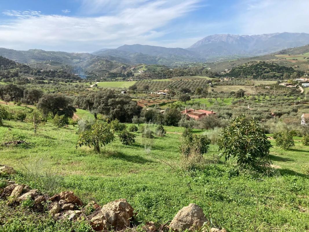Terreno en venta en Coin, Malaga photo 3