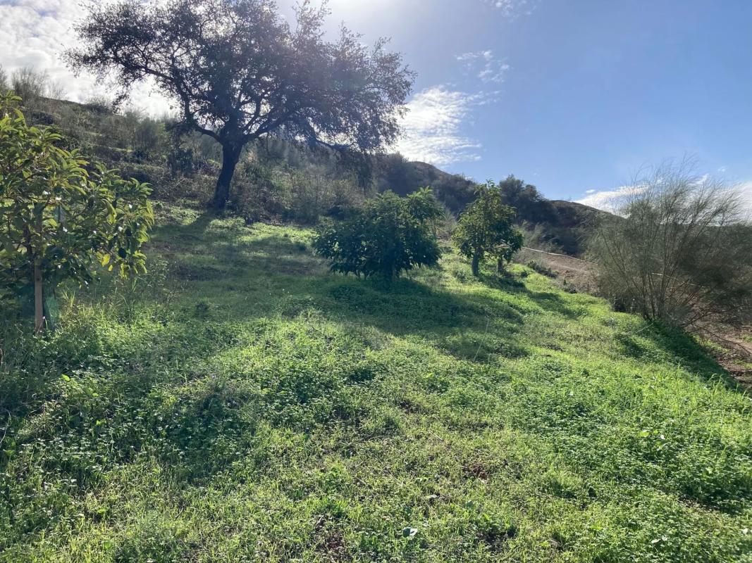 Terreno en venta en Coin, Malaga photo 4