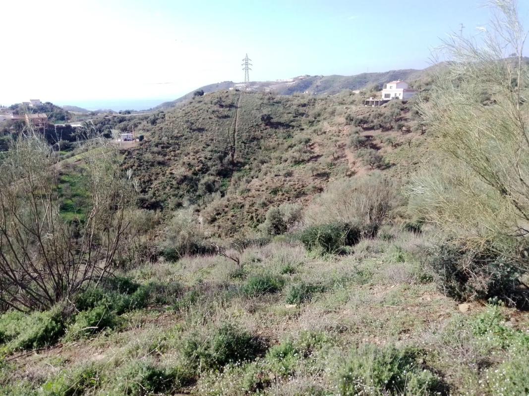 Terreno en venta en Macharaviaya, Malaga photo 5