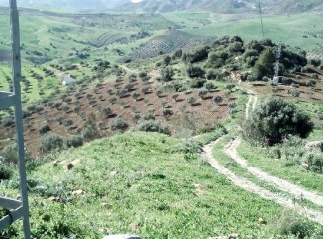 Terreno en venta en Alora, Malaga photo 3