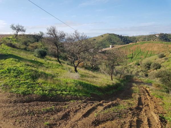Terreno en Estación photo 1