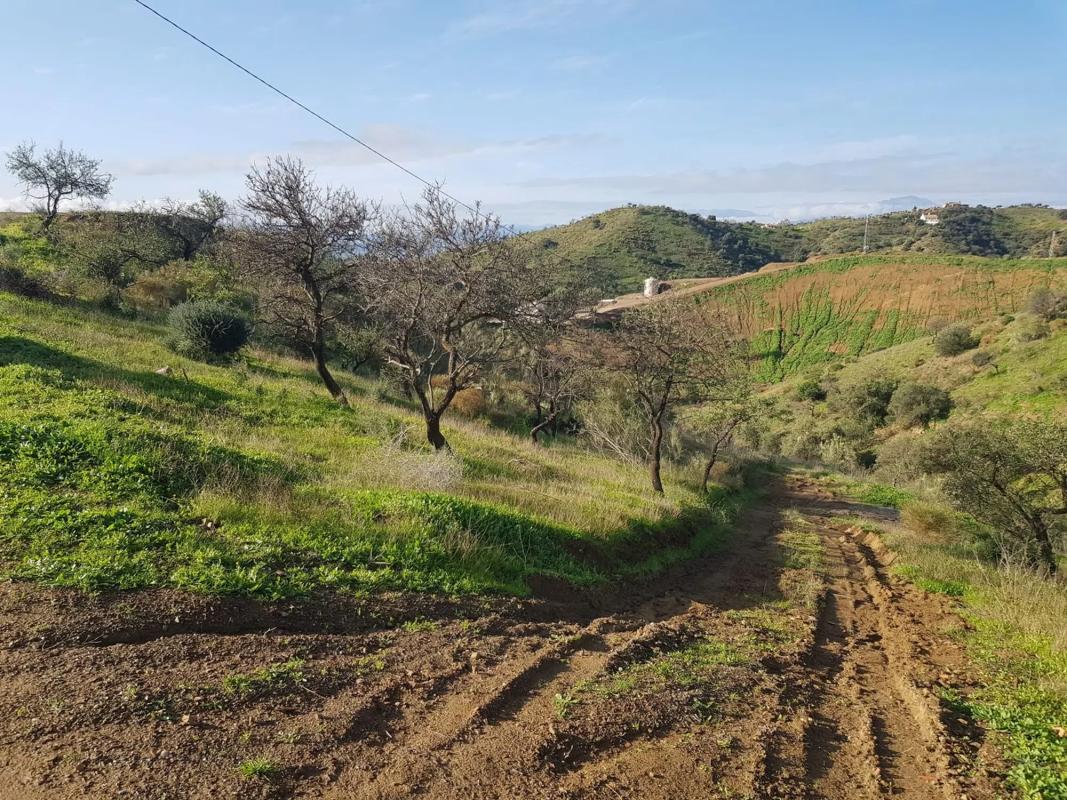 Terreno en venta en Cártama, Malaga photo 2