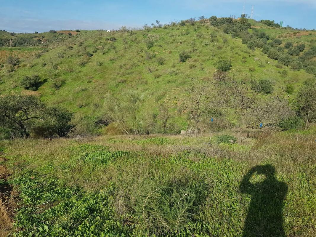 Terreno en venta en Cártama, Malaga photo 3