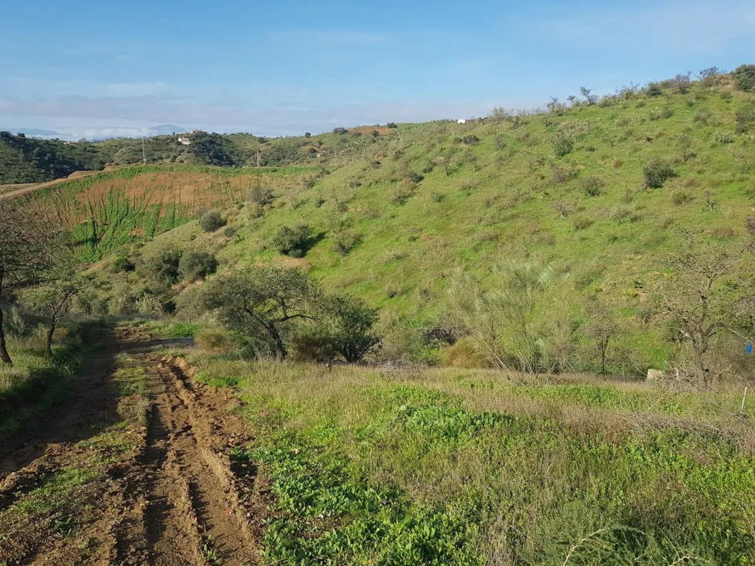 Terreno en venta en Cártama, Malaga photo 4