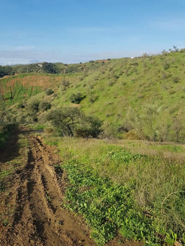 Terreno en venta en Cártama, Malaga photo 5