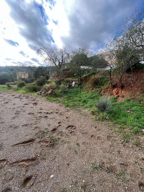 Działka na sprzedaż w Málaga, Malaga photo 1