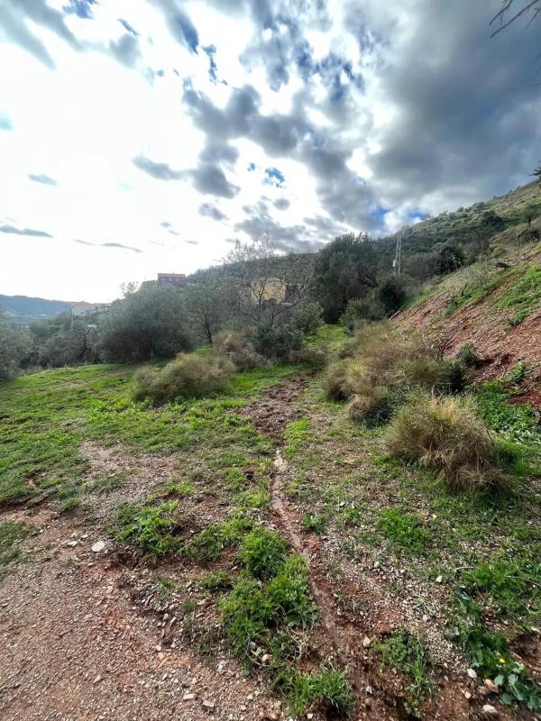 Działka na sprzedaż w Málaga, Malaga photo 2