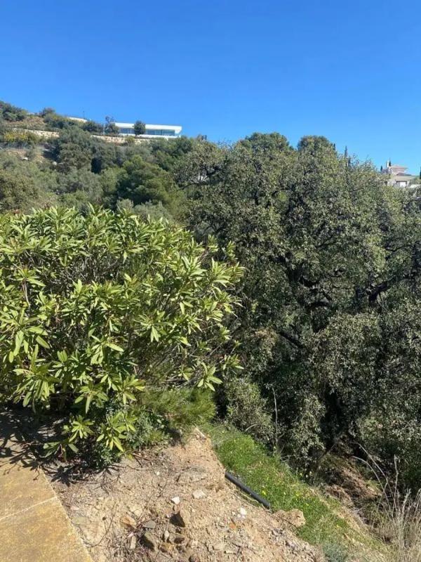 Terreno en venta en Marbella, Malaga photo 2