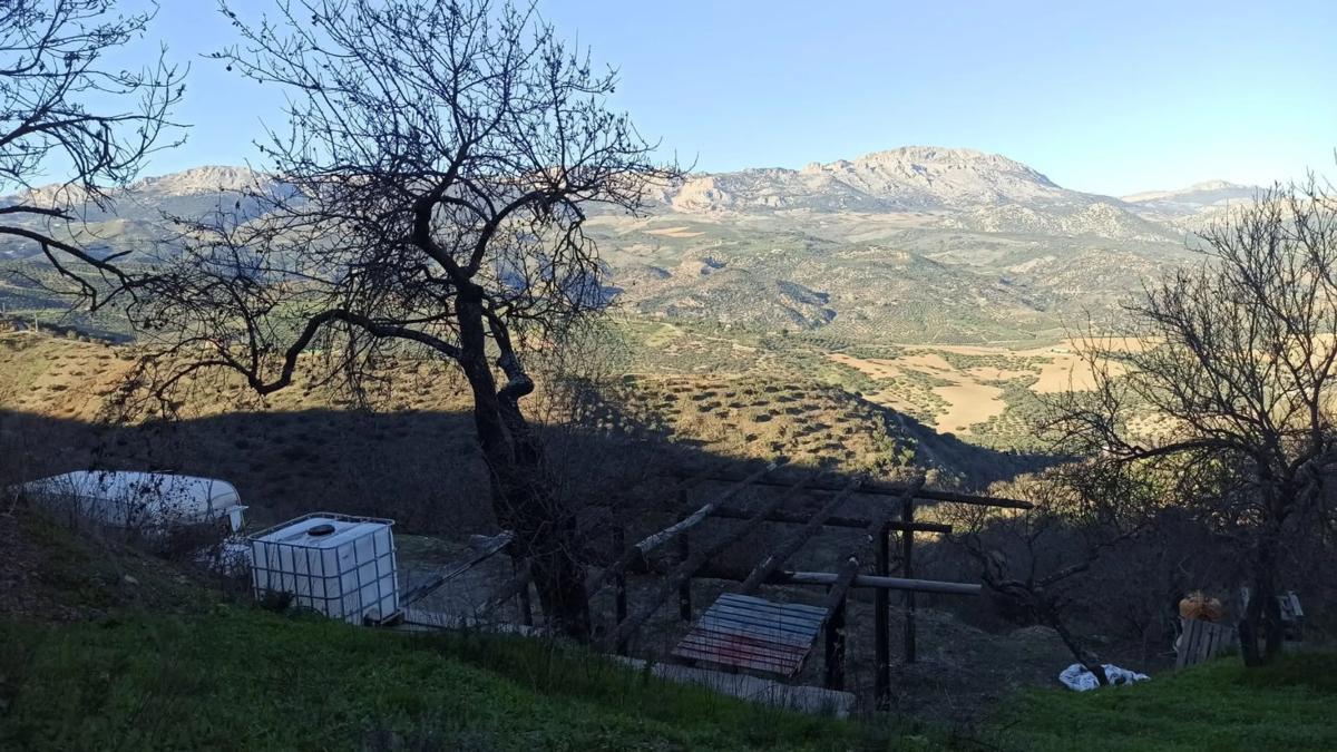 Terreno en venta en Colmenar, Malaga photo 4