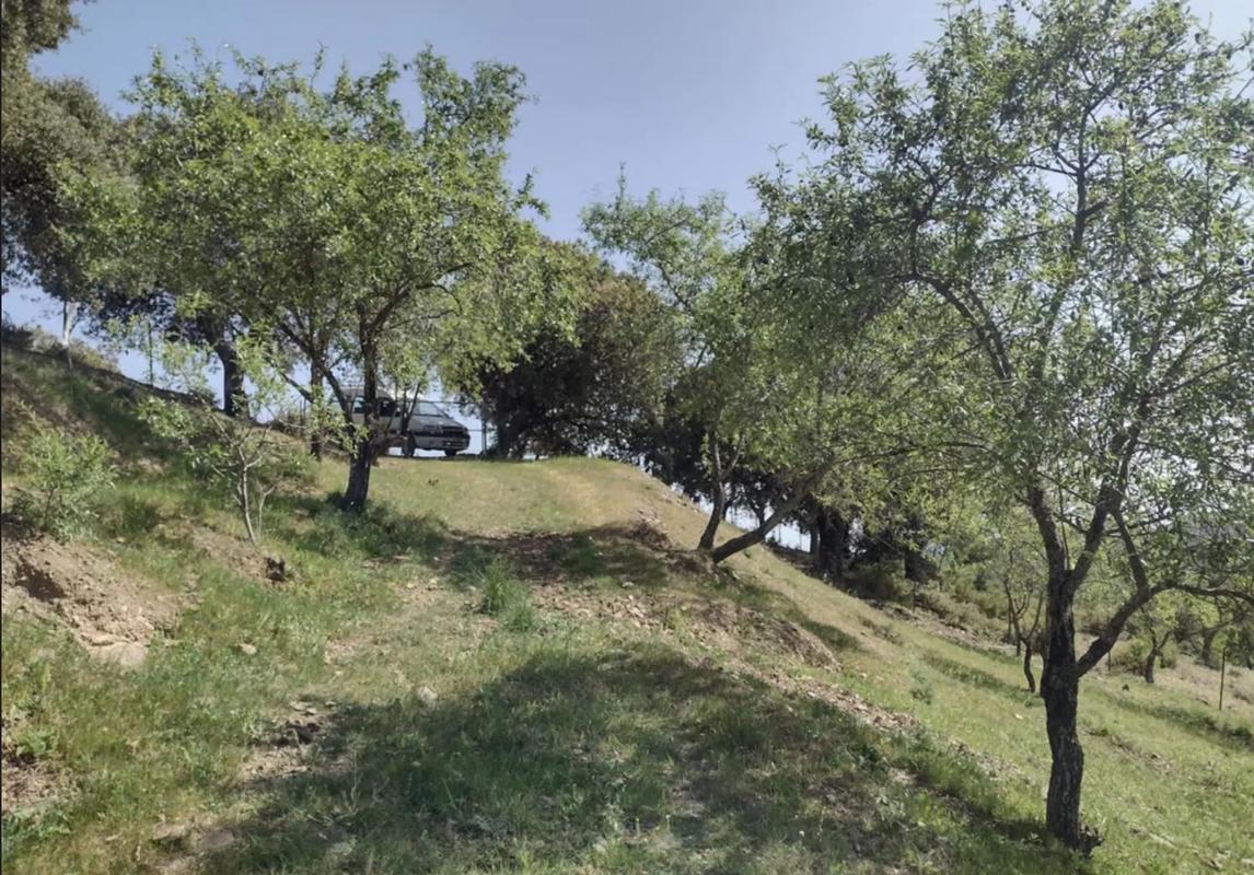 Land for sale in Benadalid, Malaga photo 3