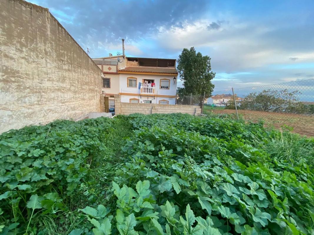 Участок земли на продажу в Малага, Малага photo 5