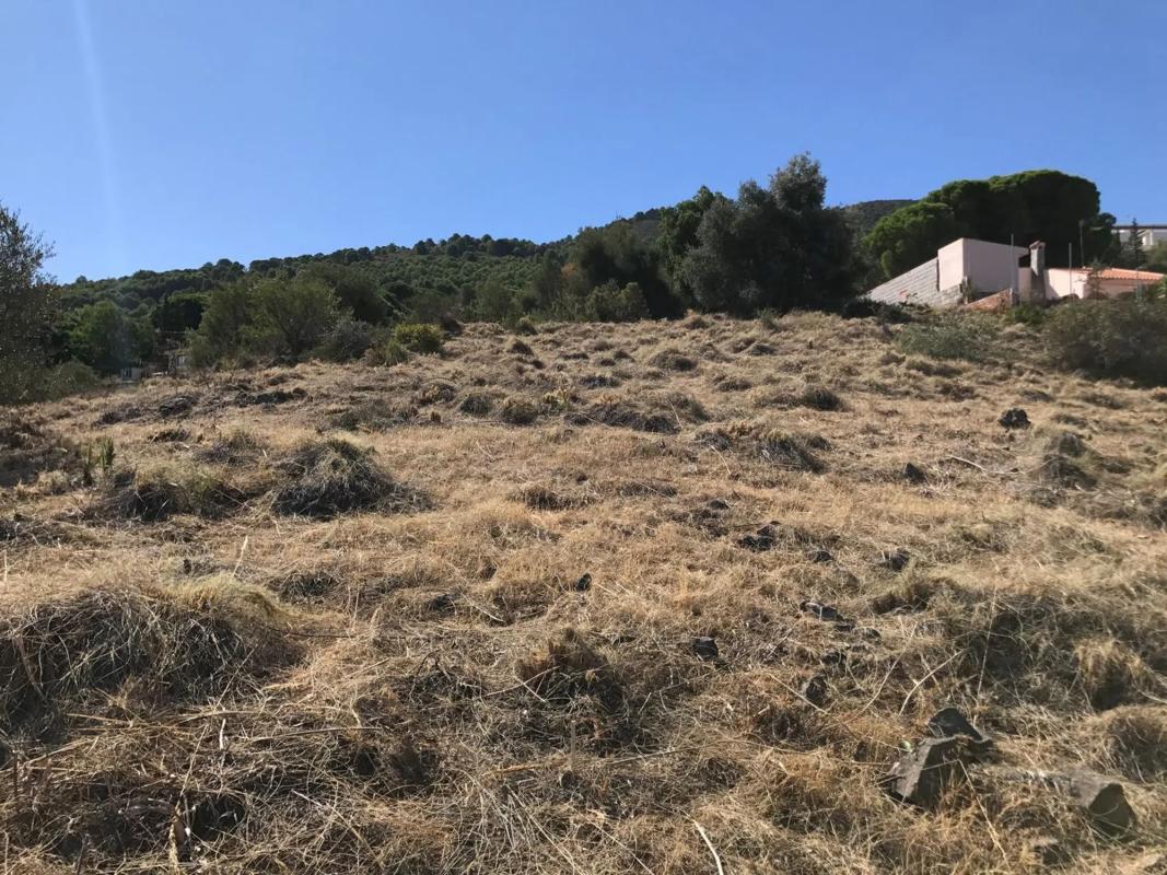 Działka na sprzedaż w Alhaurín de la Torre, Malaga photo 5