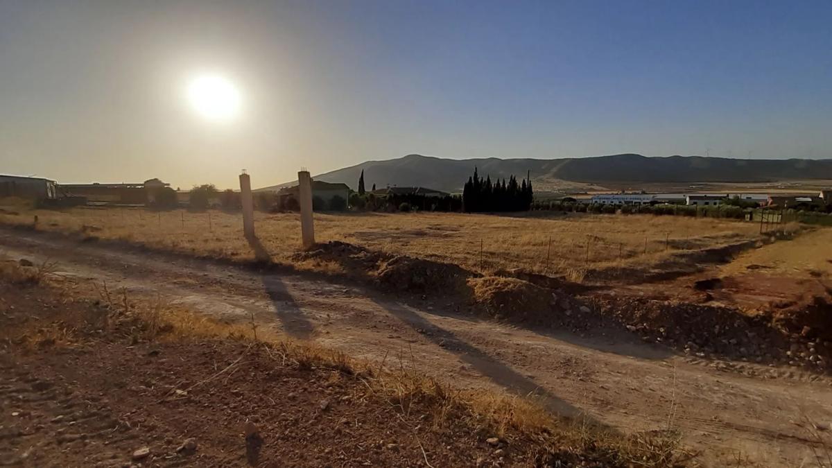 Land for sale in Sierra de Yeguas, Malaga photo 2