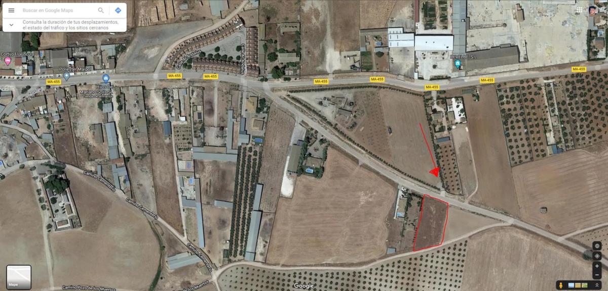 Land for sale in Sierra de Yeguas, Malaga photo 3
