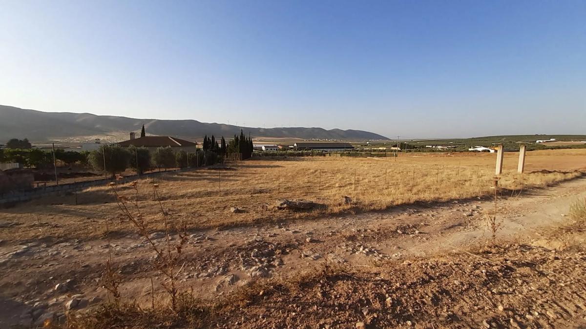 Land for sale in Sierra de Yeguas, Malaga photo 4