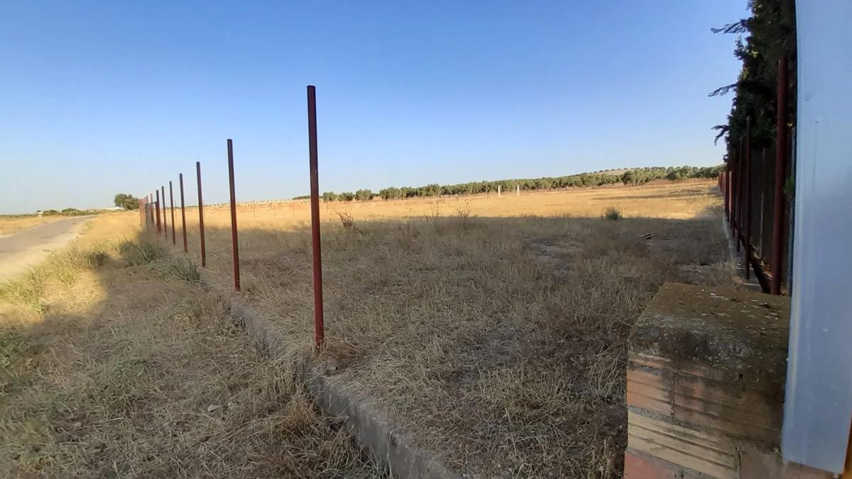 Land for sale in Sierra de Yeguas, Malaga photo 5