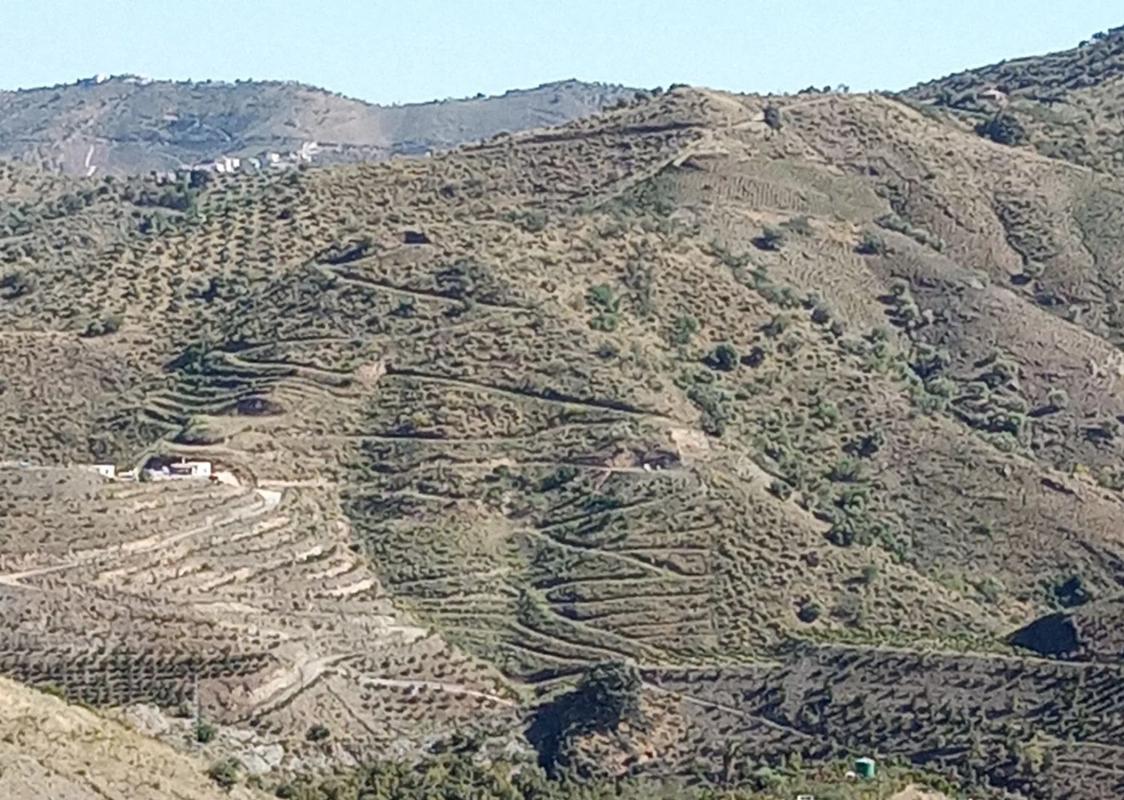 Terreno en venta en Almáchar, Malaga photo 1