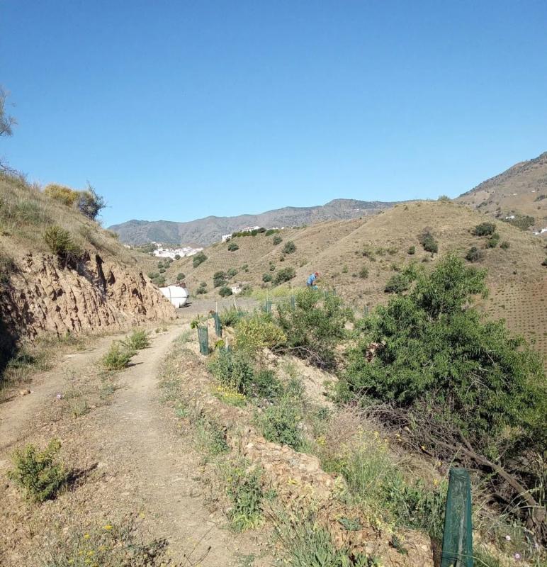 Terreno en venta en Almáchar, Malaga photo 2