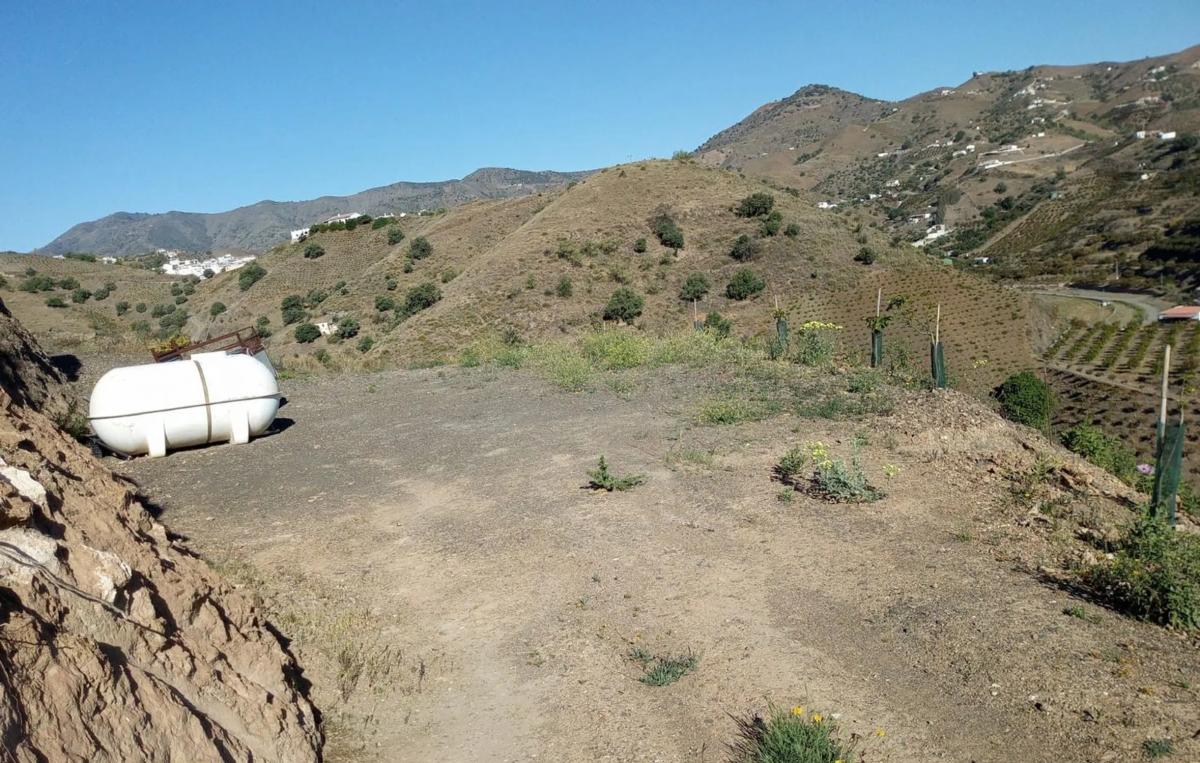 Terreno en venta en Almáchar, Malaga photo 4