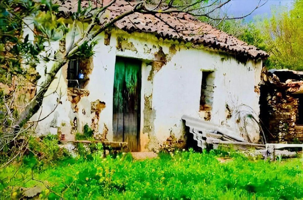 Działka na sprzedaż w Cortes de la Frontera, Malaga photo 3