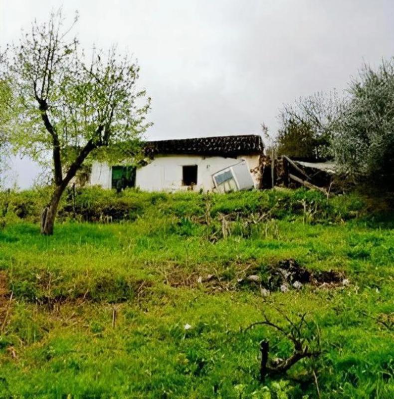 Działka na sprzedaż w Cortes de la Frontera, Malaga photo 4