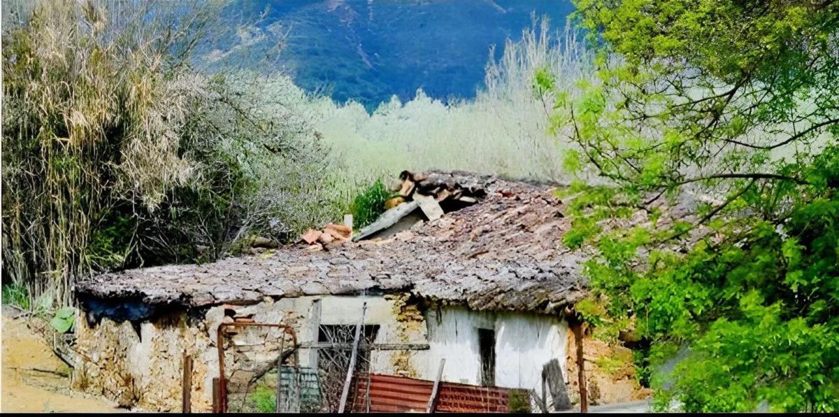 Działka na sprzedaż w Cortes de la Frontera, Malaga photo 5