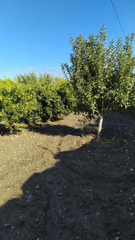 Land for sale in Coin, Malaga photo 3