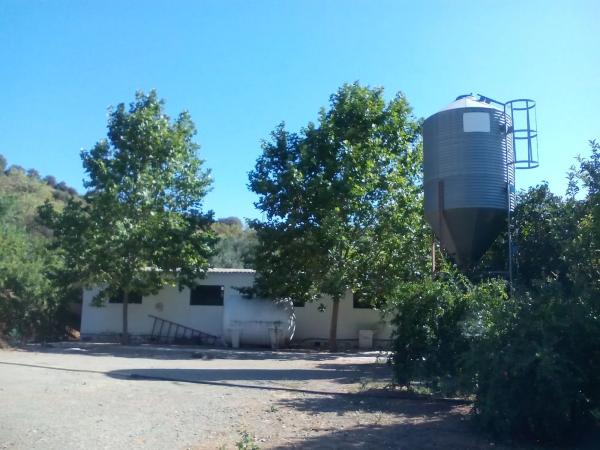 Terreno en lagunillas s/n photo 4
