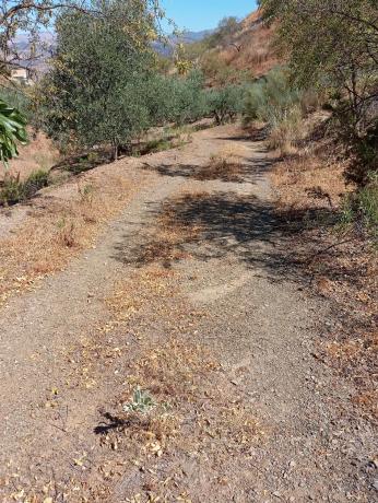 Terreno en Paraje Las Melosillas s/n Sn photo 1