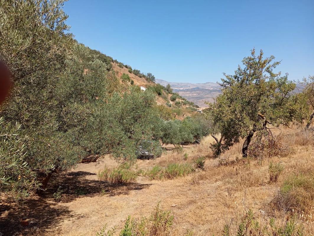 Terreno en venta en Casabermeja, Malaga photo 4