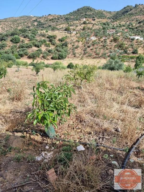 Terreno en venta en Casarabonela, Malaga photo 4