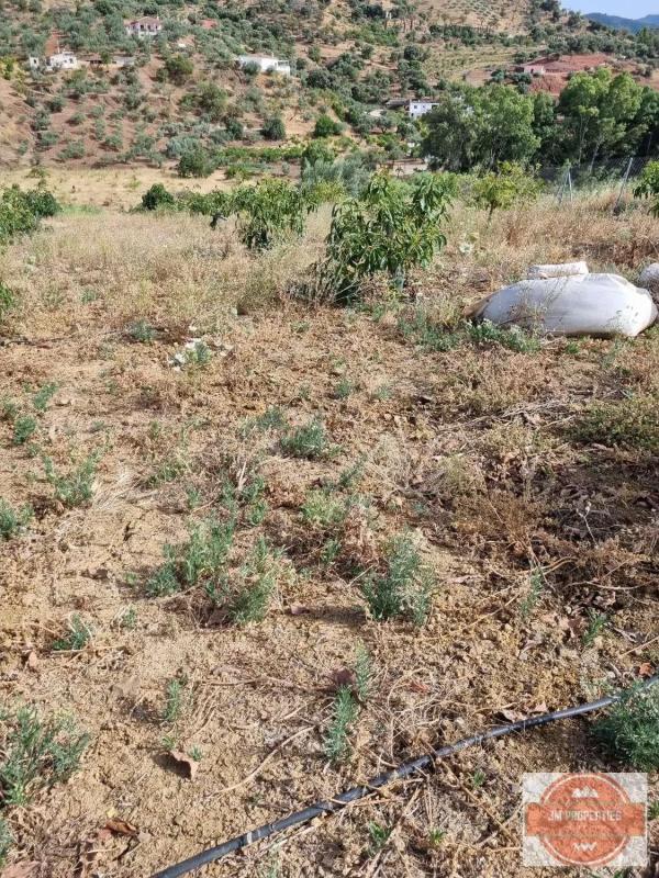 Terreno en venta en Casarabonela, Malaga photo 5