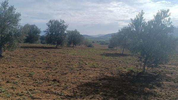 Terreno en via Sin Nombre s/n photo 1
