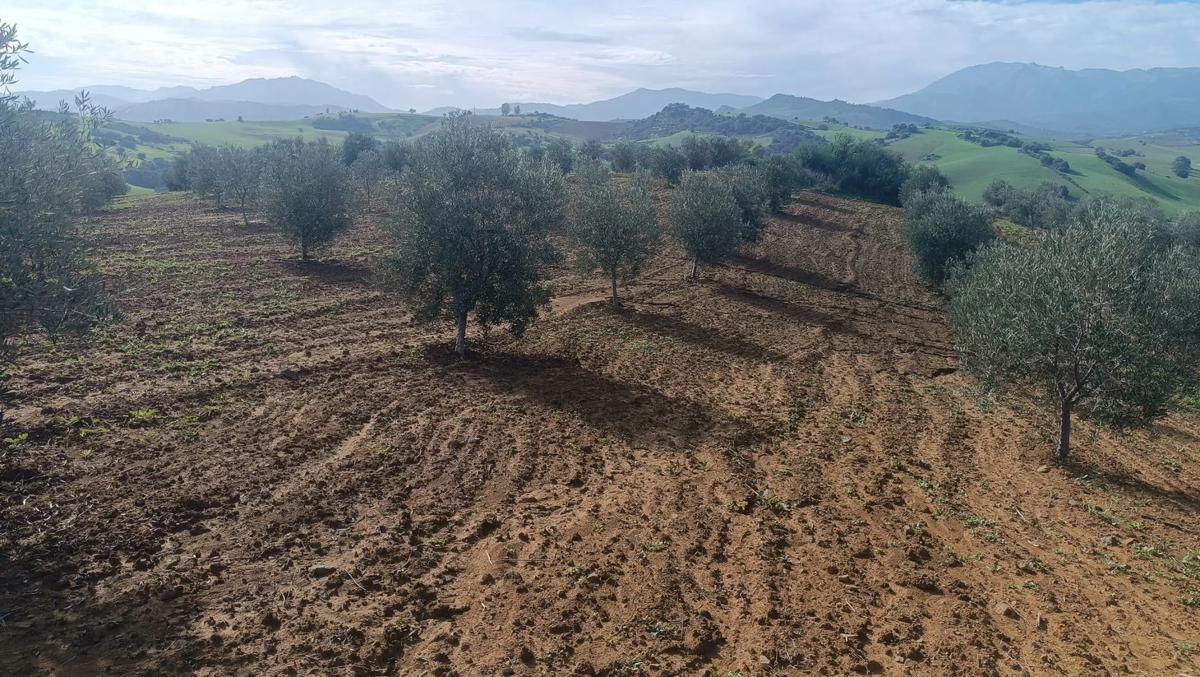 Terreno en venta en Coin, Malaga photo 4