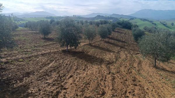 Terreno en via Sin Nombre s/n photo 4