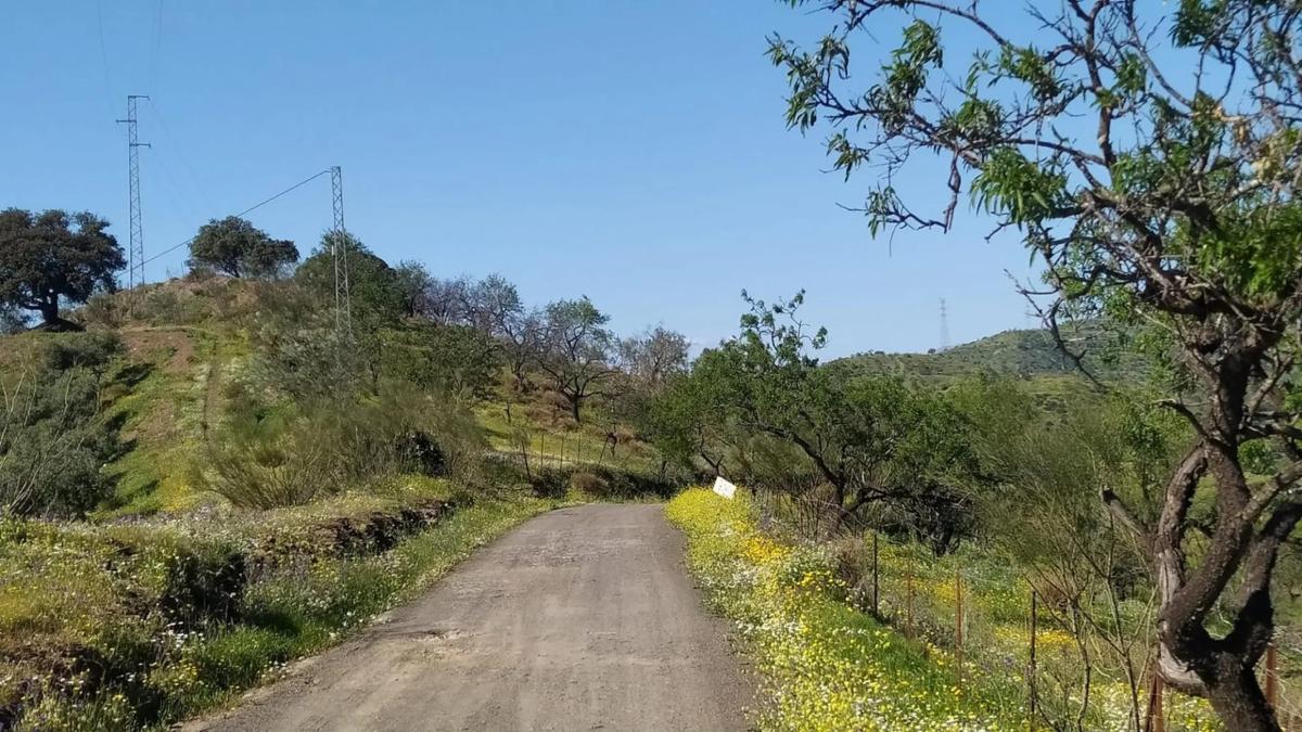 Terreno en venta en Cártama, Malaga photo 1