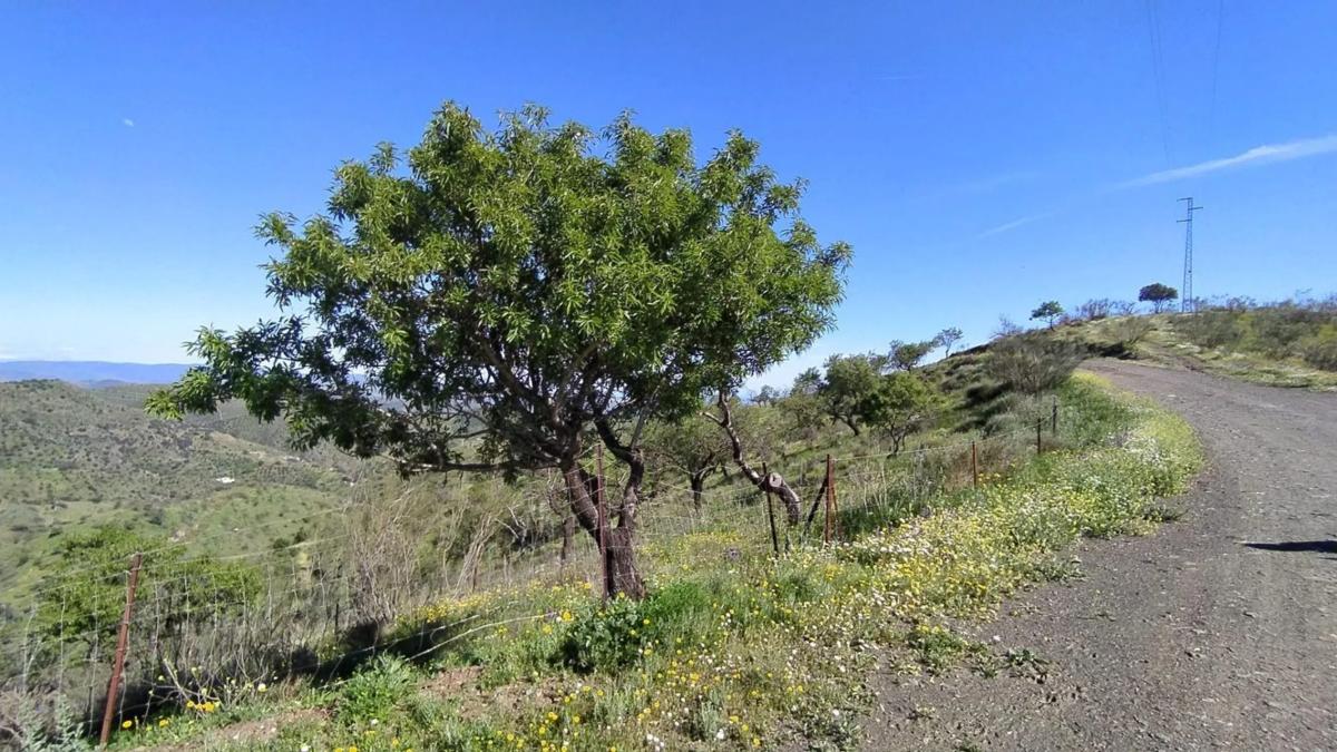 Terreno en venta en Cártama, Malaga photo 2
