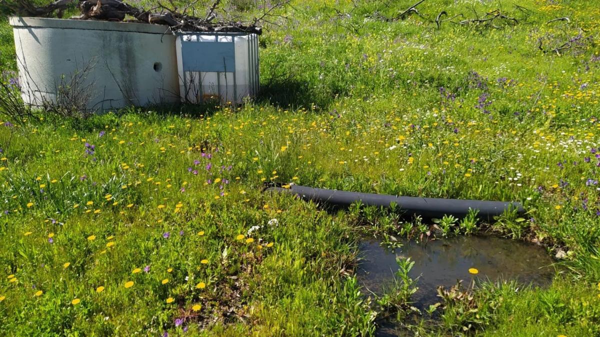 Terreno en venta en Cártama, Malaga photo 4