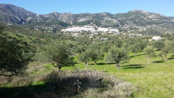 Terreno en Pdo. Almarajes s/n photo 1