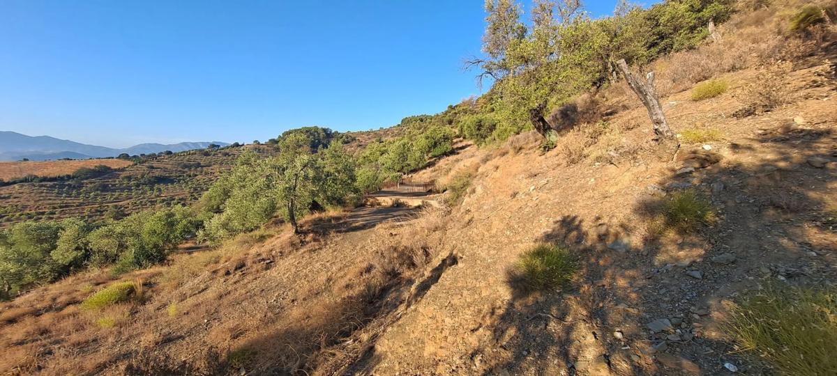 Działka na sprzedaż w Casarabonela, Malaga photo 4