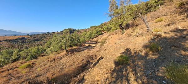 Terreno en Pdo. Almarajes s/n photo 4