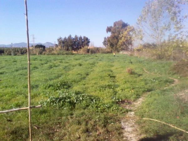 Terreno en calle Violeta, 2 photo 1