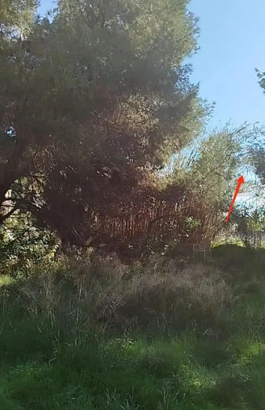 Terreno en venta en Benalmádena, Malaga photo 2