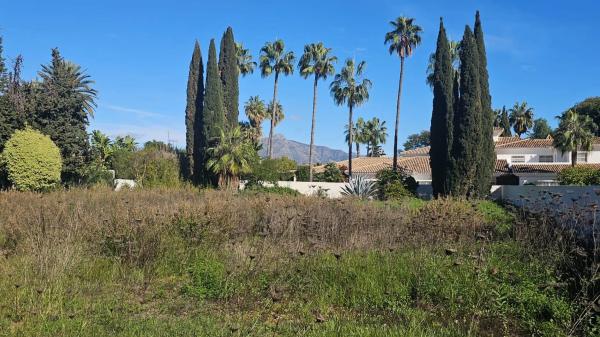 Terreno en calle 7, 183 -a photo 1