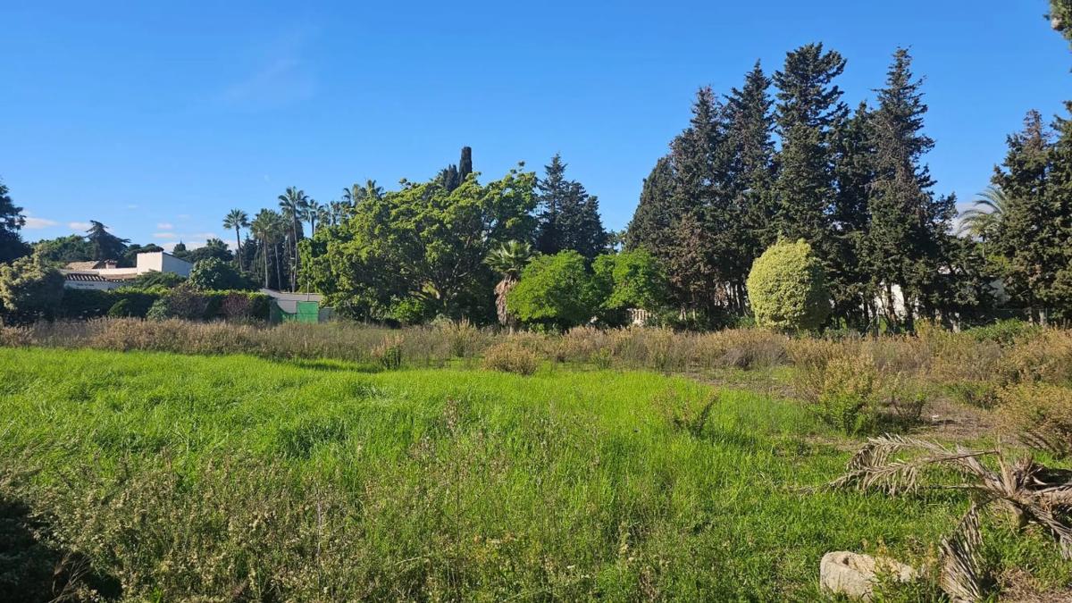 Terreno en venta en Marbella, Malaga photo 4